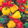 Capsicum Mini Sweet Mix 